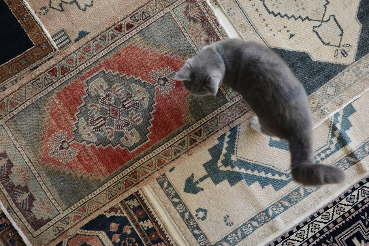 Small Rugs