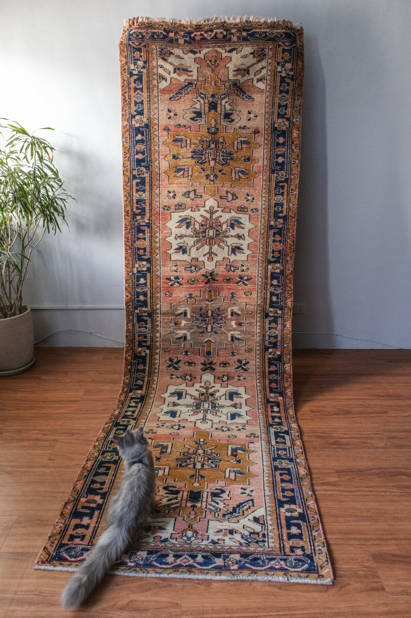 Hamadan Runner - Patina House