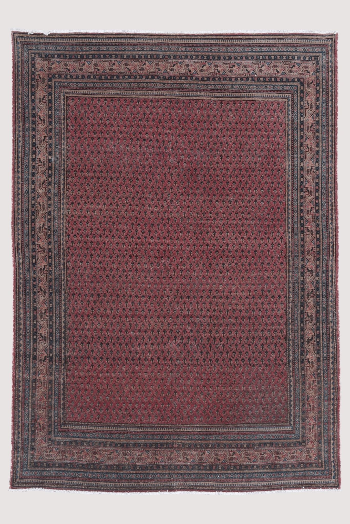 Mir Saraband - Patina House