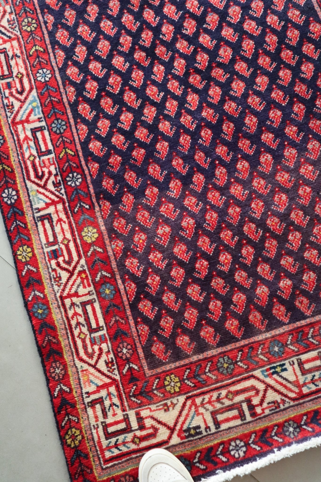 Saraband Mir - Patina House