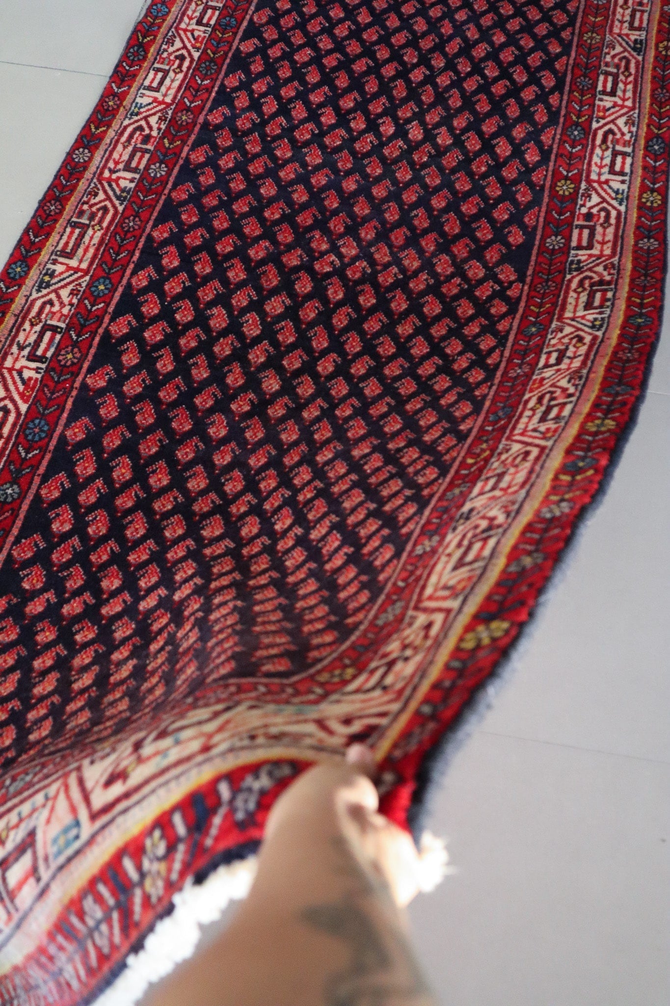 Saraband Mir - Patina House