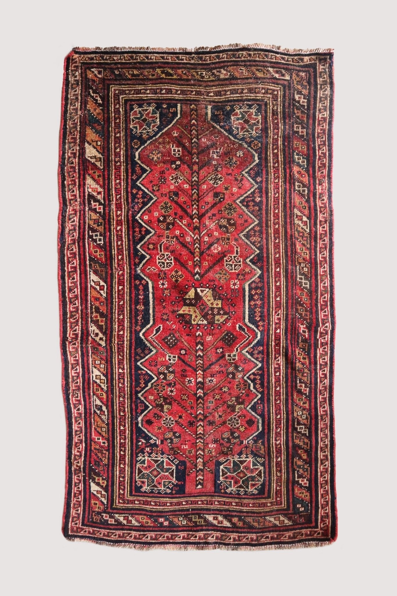 Shiraz - Patina House