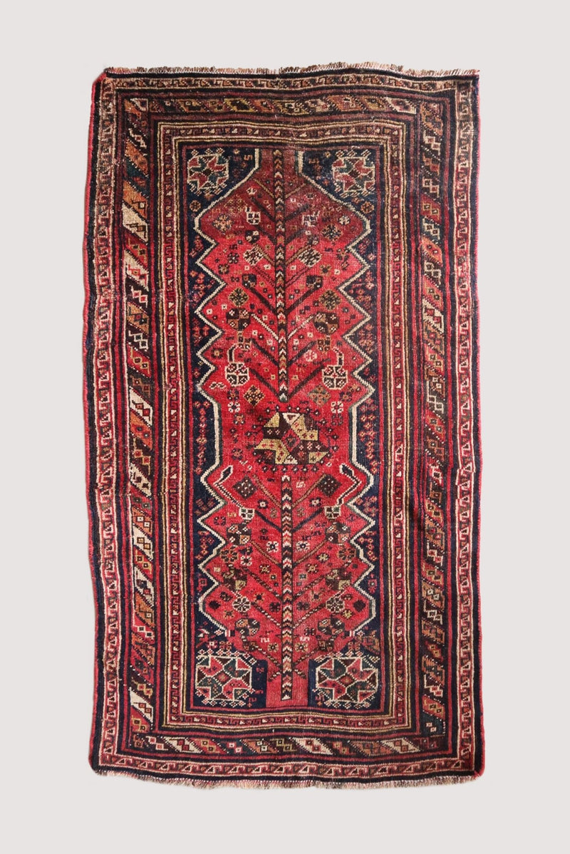 Shiraz - Patina House