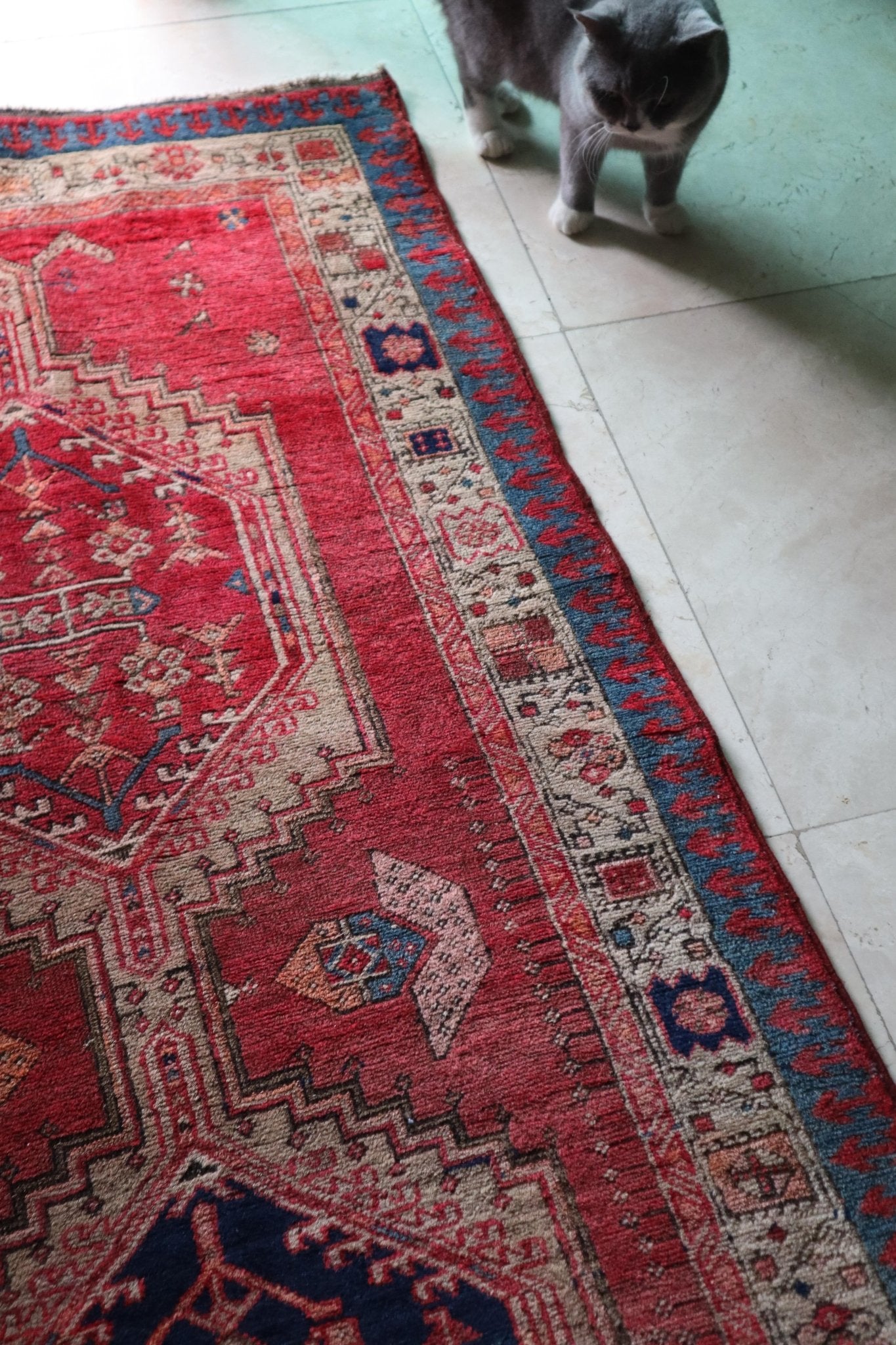 Vintage Persian Hamadan Runner – Hex Medallion Chain in Brick & Navy – No. 146 - Patina House