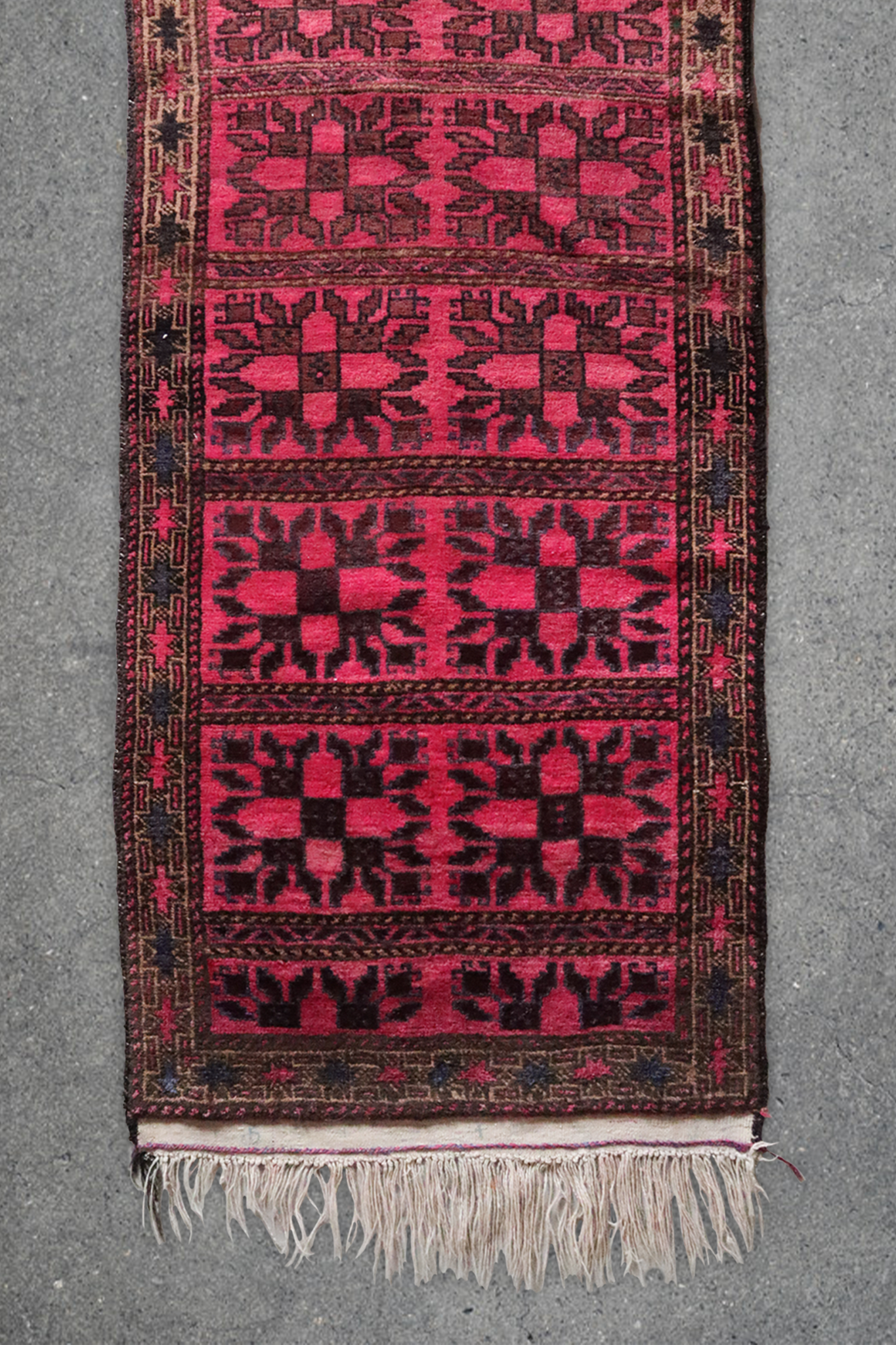 Afghan Balouch