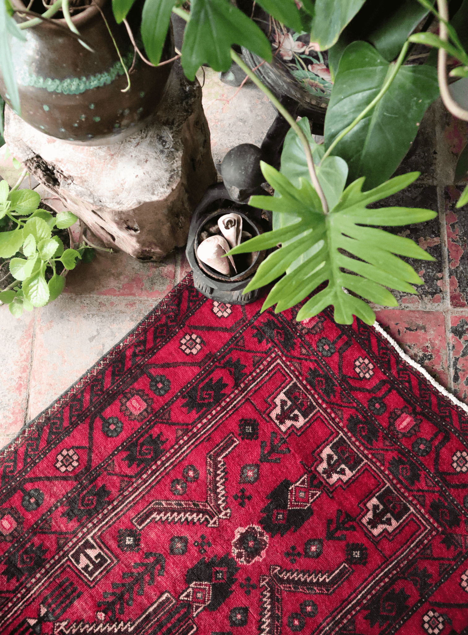 Persian Tribal - Patina House