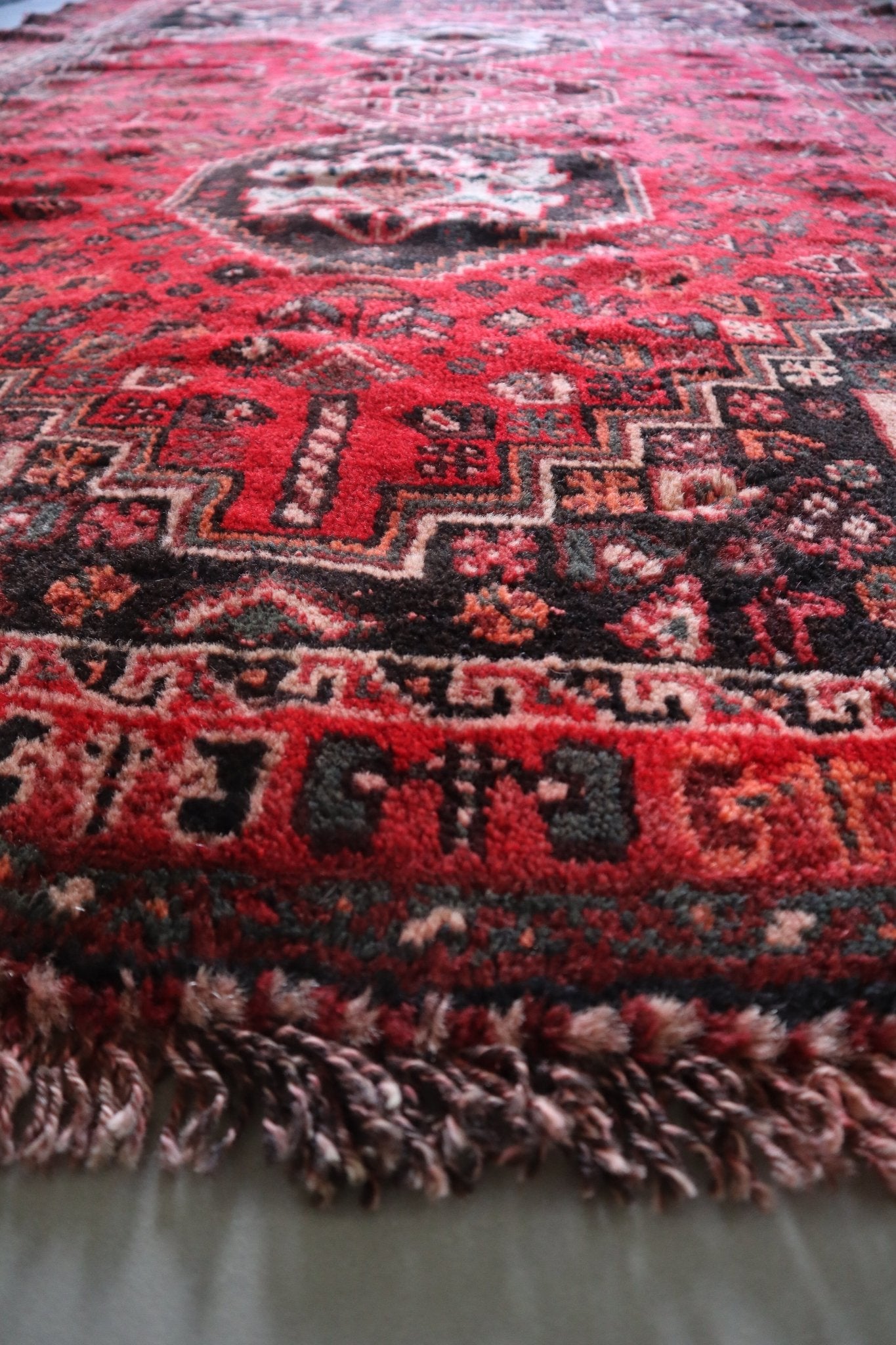 Shiraz - Patina House