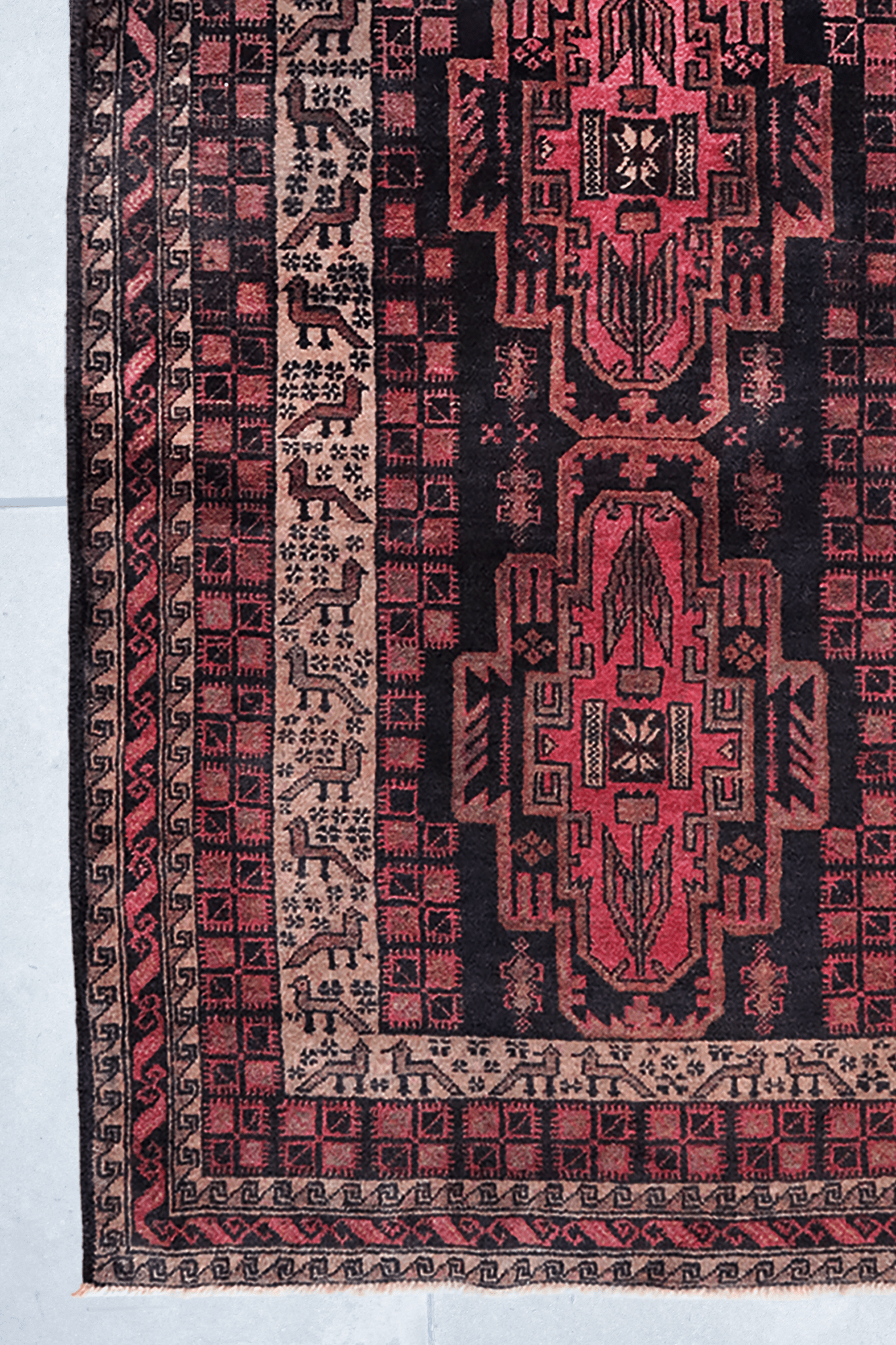 Taimani Balouch - Patina House