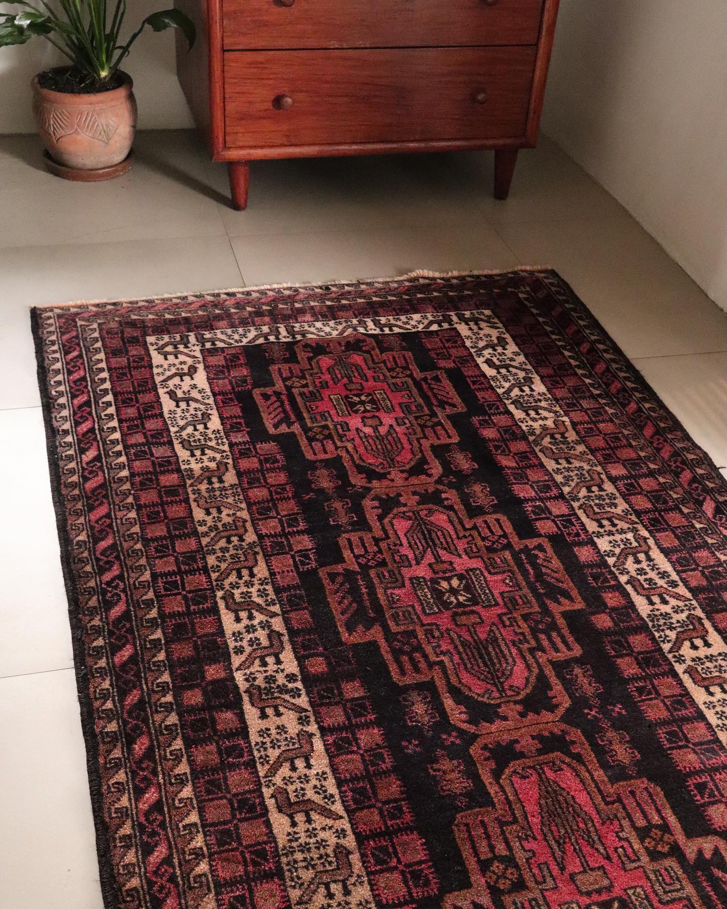 Taimani Balouch - Patina House
