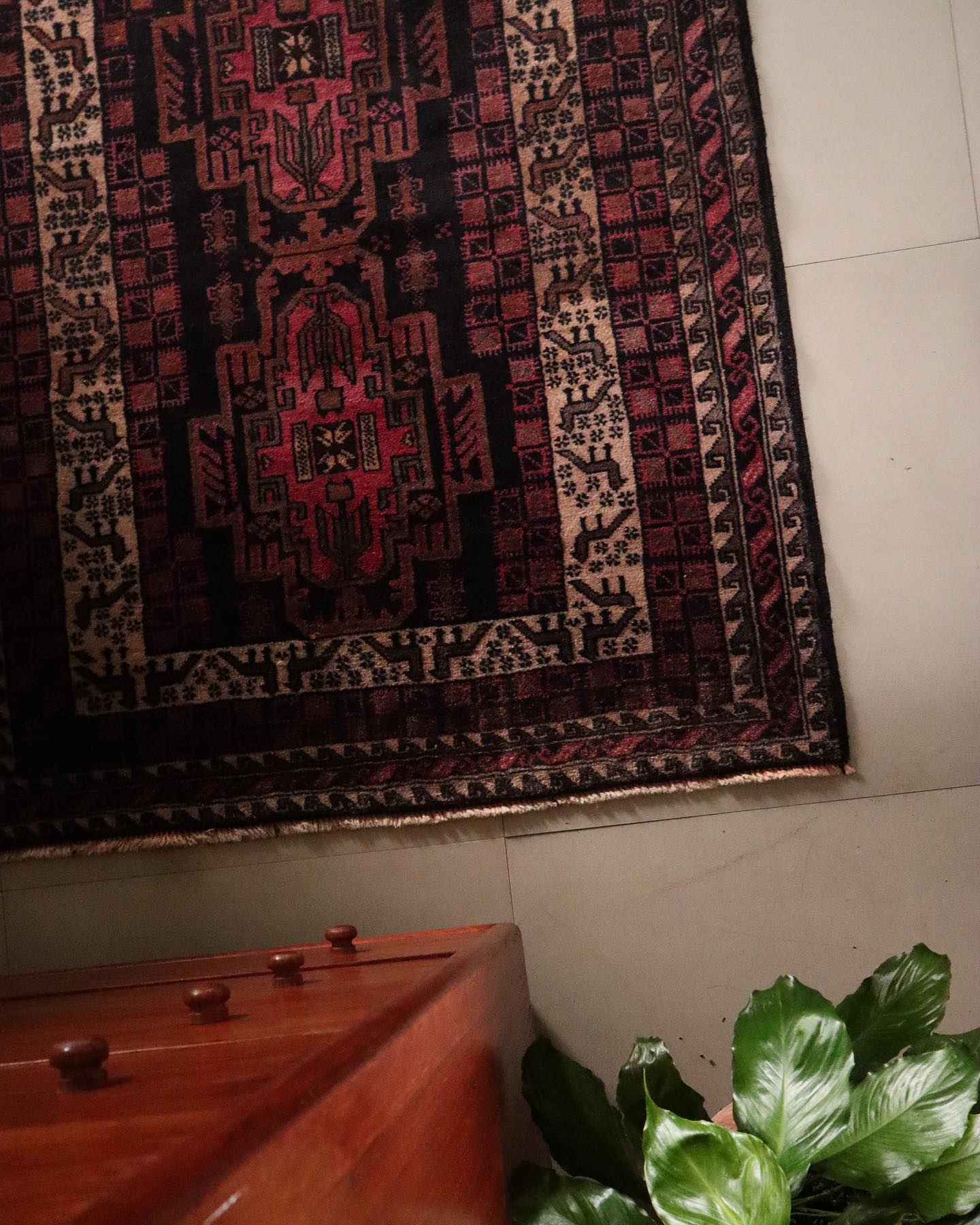 Taimani Balouch - Patina House